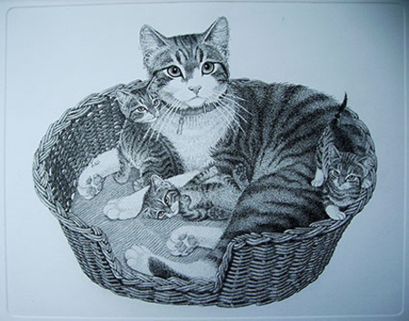  poes metn jongen