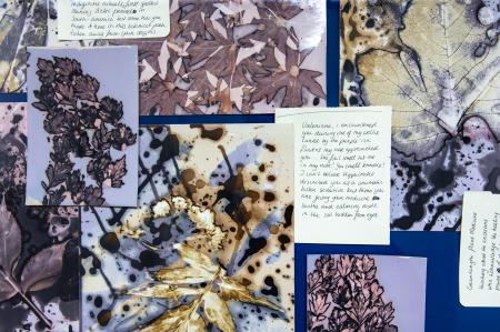 Grantangi Plant Medicine  Grantangi Plant Medicine