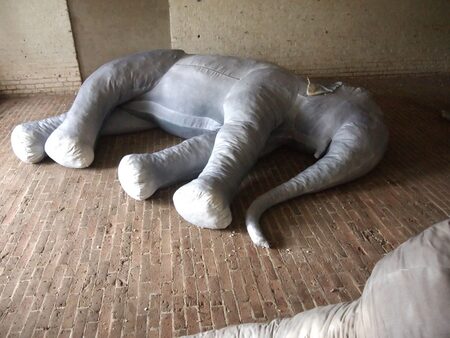  Come to me when thou hast seen the elephants dance