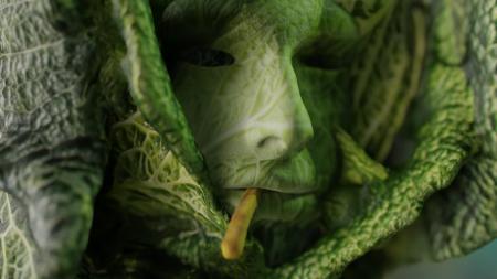  You are light and cabbage