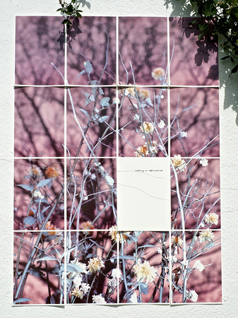  There is no more elsewhere