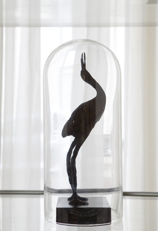  Kraanvogel