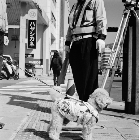  New Murakami Road