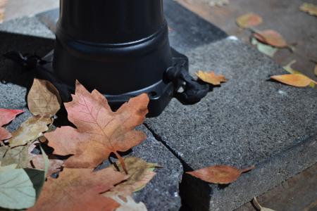  Lullabies - Lantern n.1 (leaves)