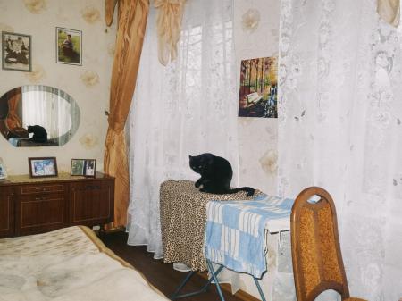  West Of The Birch Trees