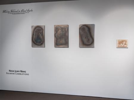  Kaumera Combustions - Exhibition view at NWO Life 2024, Egmond aan Zee