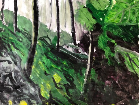  Auto im Wald