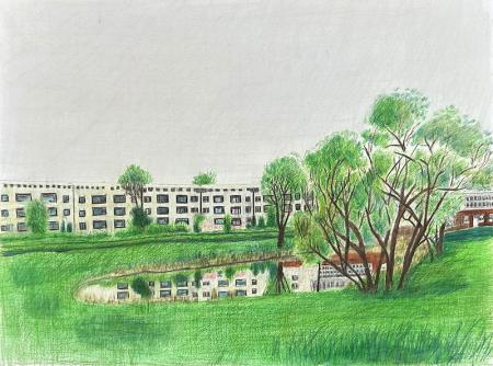  "Habitat Lost" series