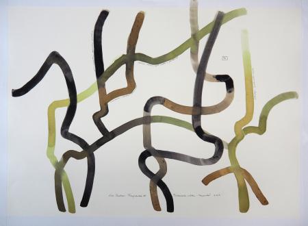  Fragmented IV DE MEIDOORN 