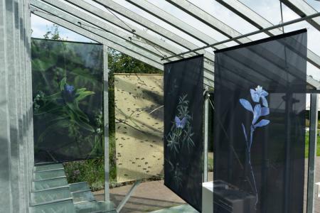  Blauwdruk, Mien Ruys tuin Bergeijk