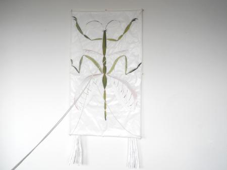  Sail away, sail away, sail away