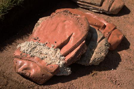  The structure of things to come: The favor of survival (2025)