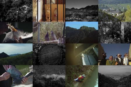  La Curiosidad (work in progress)