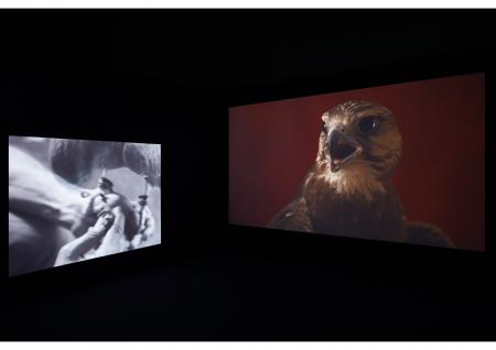  The Falcon of Karachi