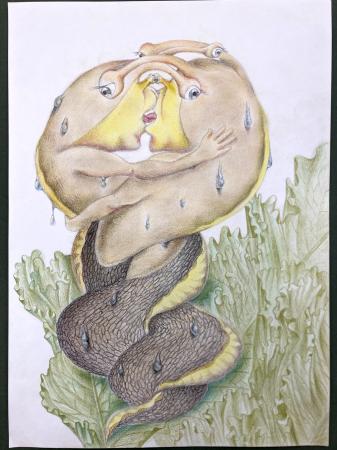  Diary of Compost Creatures