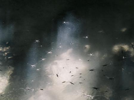  Nothing is Permanent