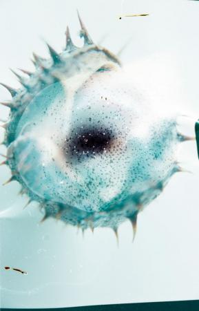  Decay of Matter