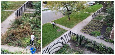 Tesselescence (Garden Apartment Gallery)  Tesselescence (Garden Apartment Gallery)