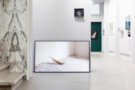  MUDDY PINK DINOSAUR, de tentoonstelling 