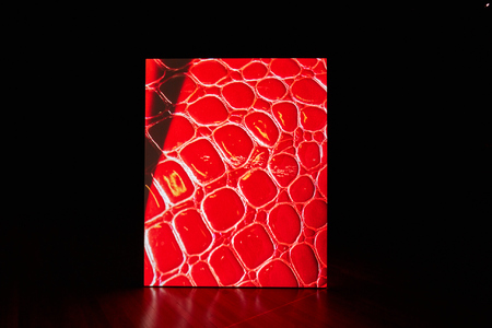  Eerst Zien dan Geloven