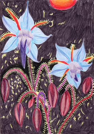  Recent Dreams series