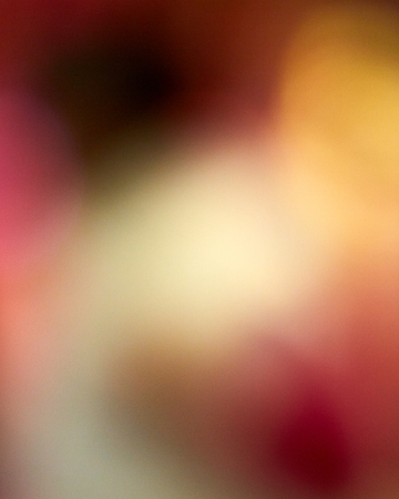  Uit de database van Eerst Zien dan Geloven