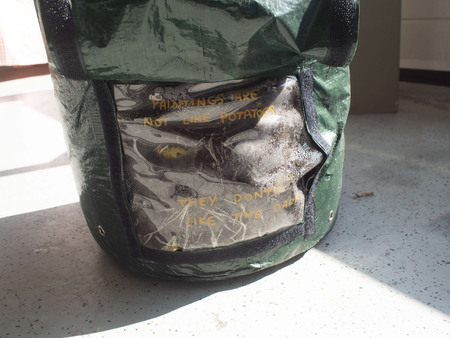  Paintings are not like potatoes, they don't like the dark