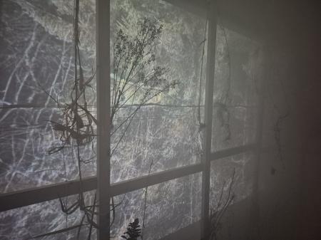  green house only greener with video