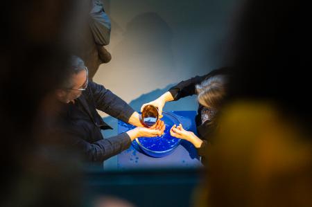 Welcome/Opening ritual Grantangi Plant Medicine  Welcome/Opening ritual Grantangi Plant Medicine