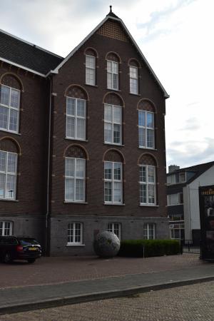  The Lunar Moss Piglets in the Sea of Serenity