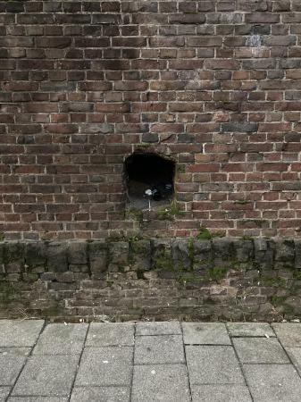  Terug naar de grot - onderzoek