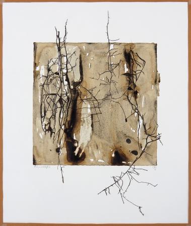  ABOUT FUNGI - RHIZOMORFEN