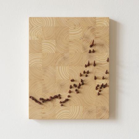  Lumber prices on fire