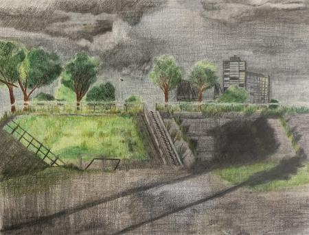  "Habitat Lost" series