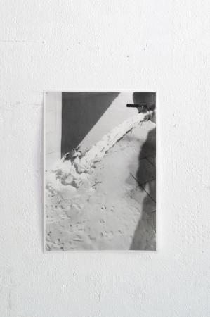  The was—is—ever—shall—be of cosmic reproductivity