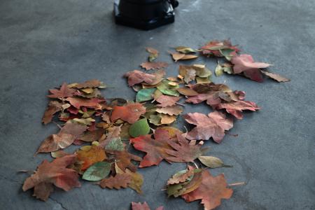  Lullabies - Lantern n.1 (leaves)