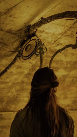  As Roots Grow Back Into Us
