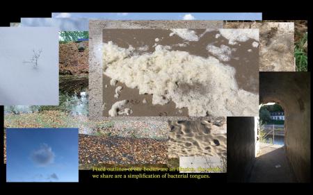  every second is kissed by billions of lips (love letter to 'dierkens')