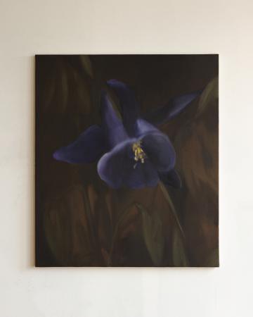  Blauwe bel, een bloem van dankbaarheid.