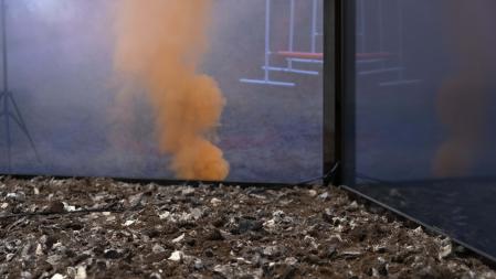  A horse is a horse of course of course