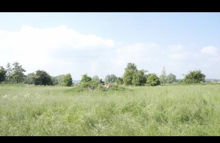  Farmland research (ongoing)