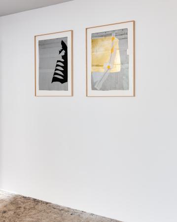  Canary in a gold mine