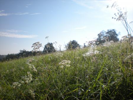  lente-landschap
