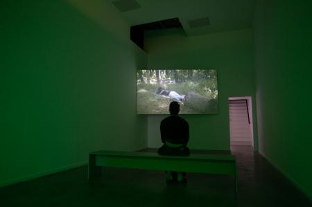  First it sleeps, second it creeps, third it leaps