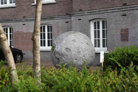  The Lunar Moss Piglets in the Sea of Serenity