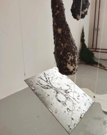  Alchemical Entanglements