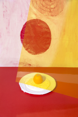  Orange Omelette