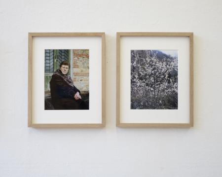  Her Forest, Tearless as Stone