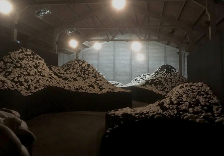  ‘On non either side of the wall/the landscape’