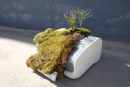  Microclimates Take Over